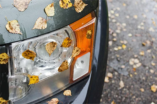 Do European Cars Need Special Maintenance This Fall? | Accelerate Auto Repair in Rowlett, TX. Image of autumn leaves on a car hood and headlight.